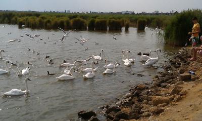 RK-07, ���������