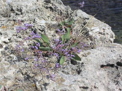 RK-27, ��� ������� ����� �. ��������, &hellip; � �� ������ ������ �������